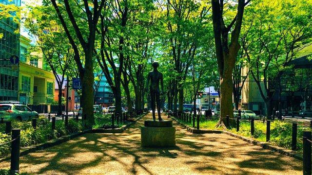 5月の定禅寺通り