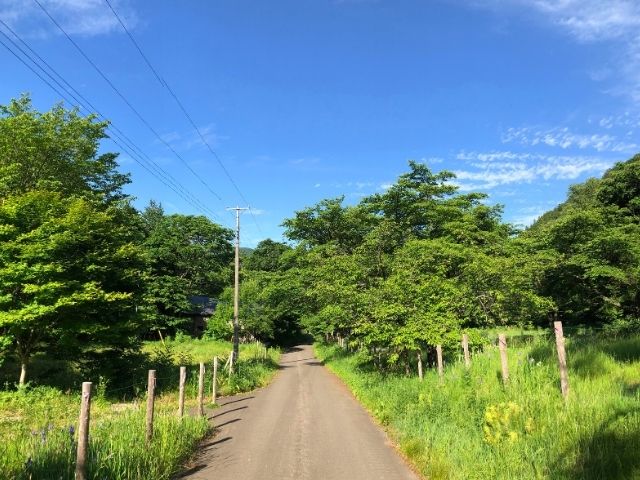 奥新川駅周辺の道路