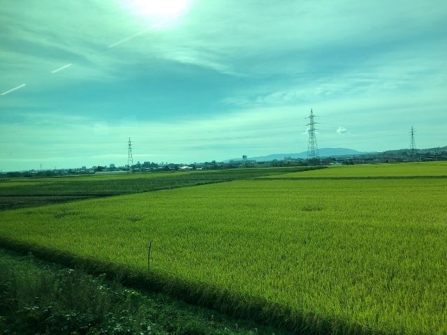 八戸線の車窓から見える田園風景