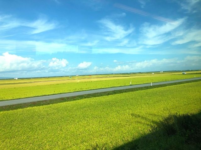 特急つがるの車窓から見える田園風景