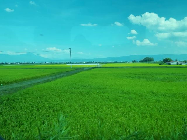 会津の田園地帯を進む只見線